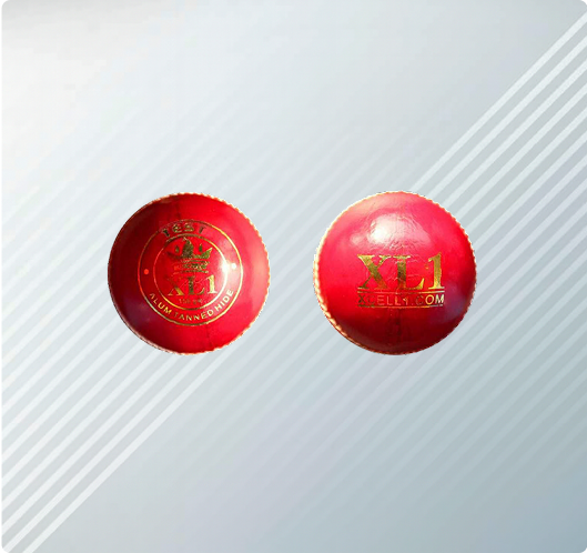 XL1 leather match ball - premium cricket equipment