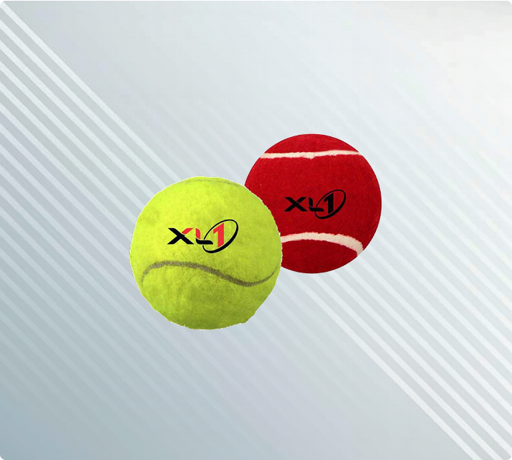 XL1 leather & tennis balls - premium cricket equipment